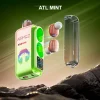Airmez Xbeats 2 in 1 40K Atl Mint flavor