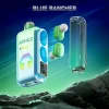 Blue Rancher disposable vape flavor