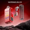 Watermelon Ice disposable vape flavor