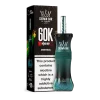 Menthol disposable vape flavor