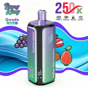 Bang King 250K 4 in 1 Grape Burst Lychee Ice Peach Berry Kiwi Passion Fruit Guava flavor