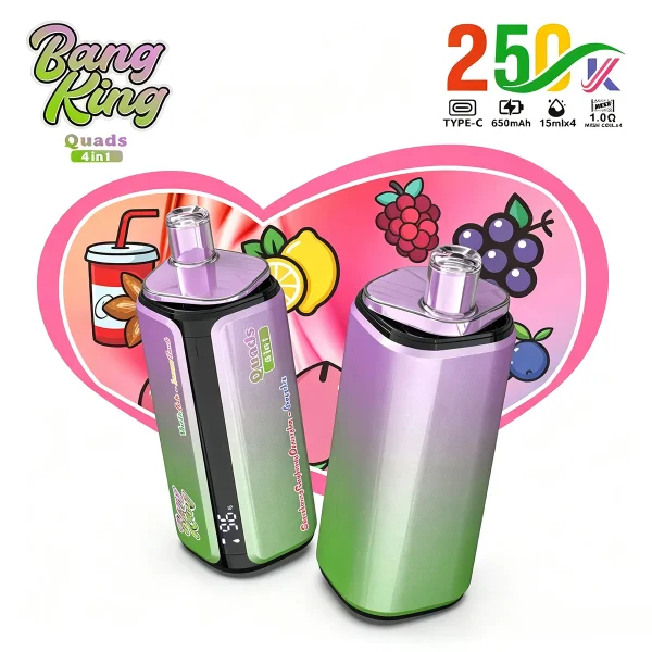 Bang King 250K 4 in 1 Lemon Lime Strawberry Ice Raspberry Watermelon Fizzy Cherry flavor