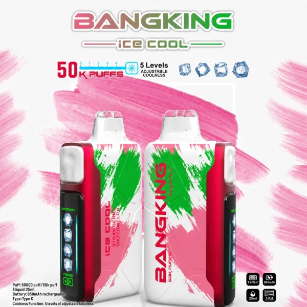 Option 08 disposable vape flavor