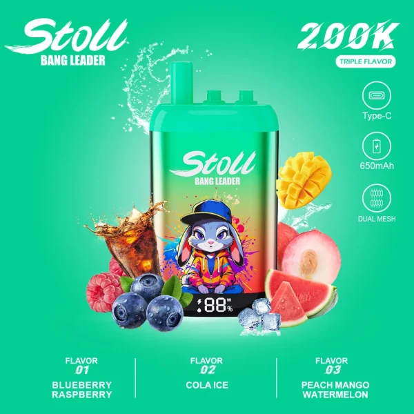 Bang Leader 200K 3 in 1 Blueberry Raspberry Cola Ice Peach Mango Watermelon flavor