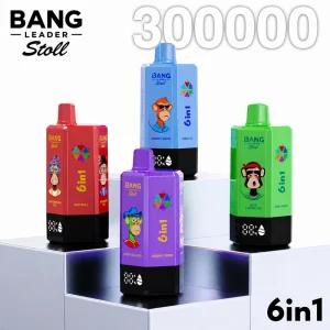 Bang Leader 300K 6 in 1 disposable vape product image
