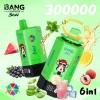 Bang Leader 300K 6 in 1 Aloe Lychee Ice Pink Lemon Glacier Ice Pine Needle Mint Black Currant Ice Watermelon Lemon flavor