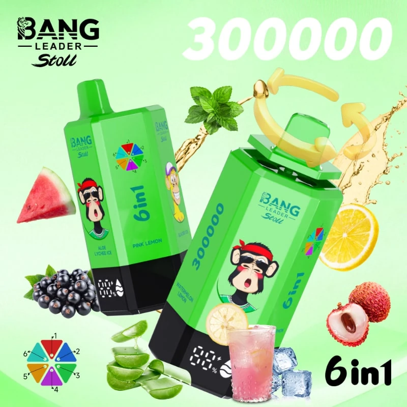 Bang Leader 300K 6 in 1 Aloe Lychee Ice Pink Lemon Glacier Ice Pine Needle Mint Black Currant Ice Watermelon Lemon flavor