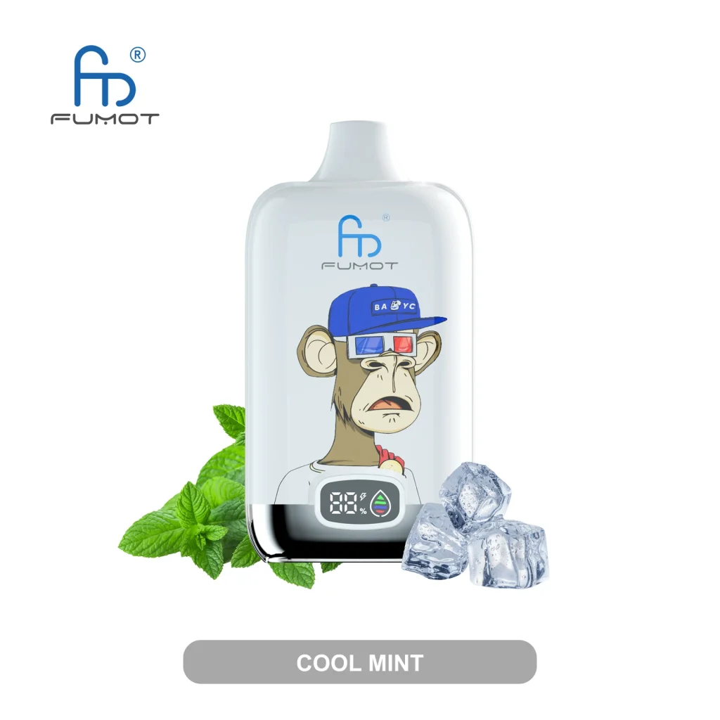 fumot digital box 12000 Cool Mint flavor