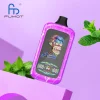 Miami Mint disposable vape flavor