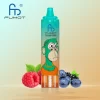 Kiwi Passion Fruit Guava disposable vape flavor