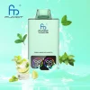 Fresh Menthol Mojito disposable vape flavor