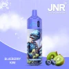 jnr alien 10k Blueberry Kiwi flavor