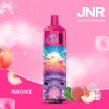 Peach Ice disposable vape flavor