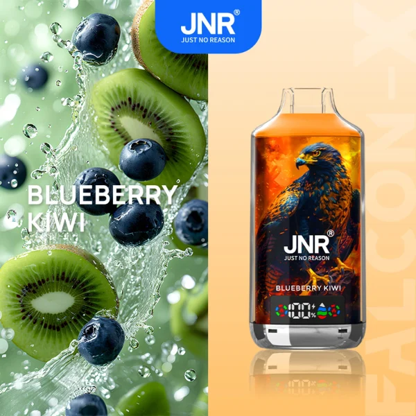 jnr falcon x 18k Blueberry Kiwi flavor