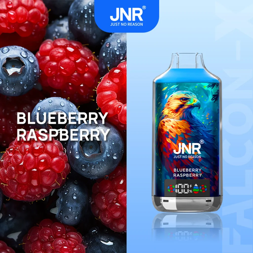 jnr falcon x 18k Blueberry Raspberry flavor