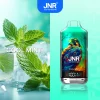 Cool Mint disposable vape flavor