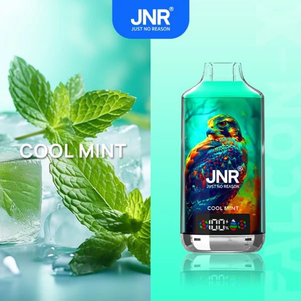 Cool Mint disposable vape flavor