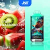 Kiwi Watermelon Ice disposable vape flavor