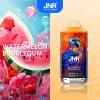 Watermelon Bubblegum disposable vape flavor