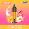 Summer Holiday disposable vape flavor