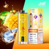Mango Ice disposable vape flavor
