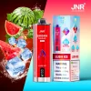 Watermelon Ice disposable vape flavor