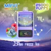 MRVI 25000 Option 02 flavor
