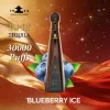 Blueberry Ice disposable vape flavor