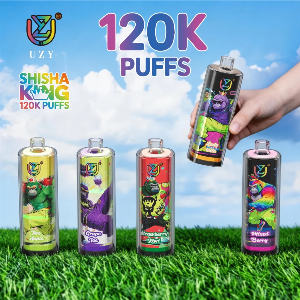 UZY Shisha Hookah King 120K disposable vape product image