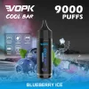 Blueberry Ice disposable vape flavor