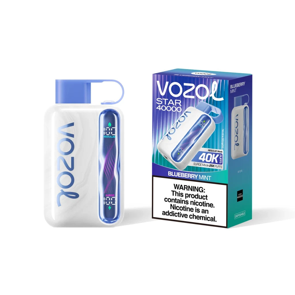 vozol star 40k Blueberry Mint flavor