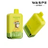 WASPE Double Flavor 40000 Peach Ice & Pineapple Mango Peach flavor