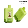 WASPE Double Flavor 40000 Watermelon Ice & Lemon Lime flavor